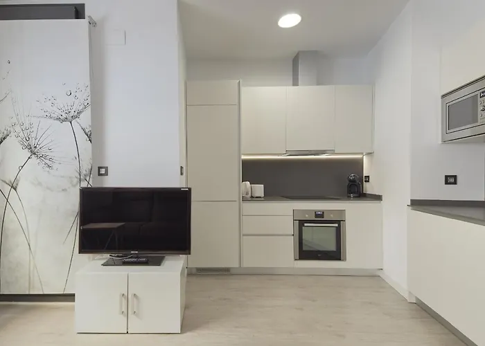 Apartmán Aintza - Basque